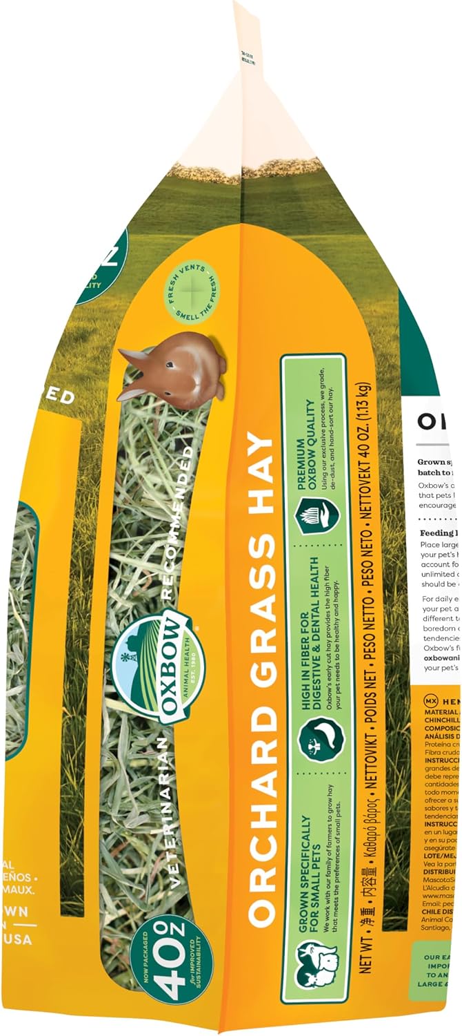 Oxbow Orchard Hay, Rabbit & Guinea Pig Hay, Hand-Sorted, De-Dusted, 40 oz