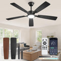 Fanbulous 52 Inch Ceiling Fans with Lights, Black, Remote & APP Control