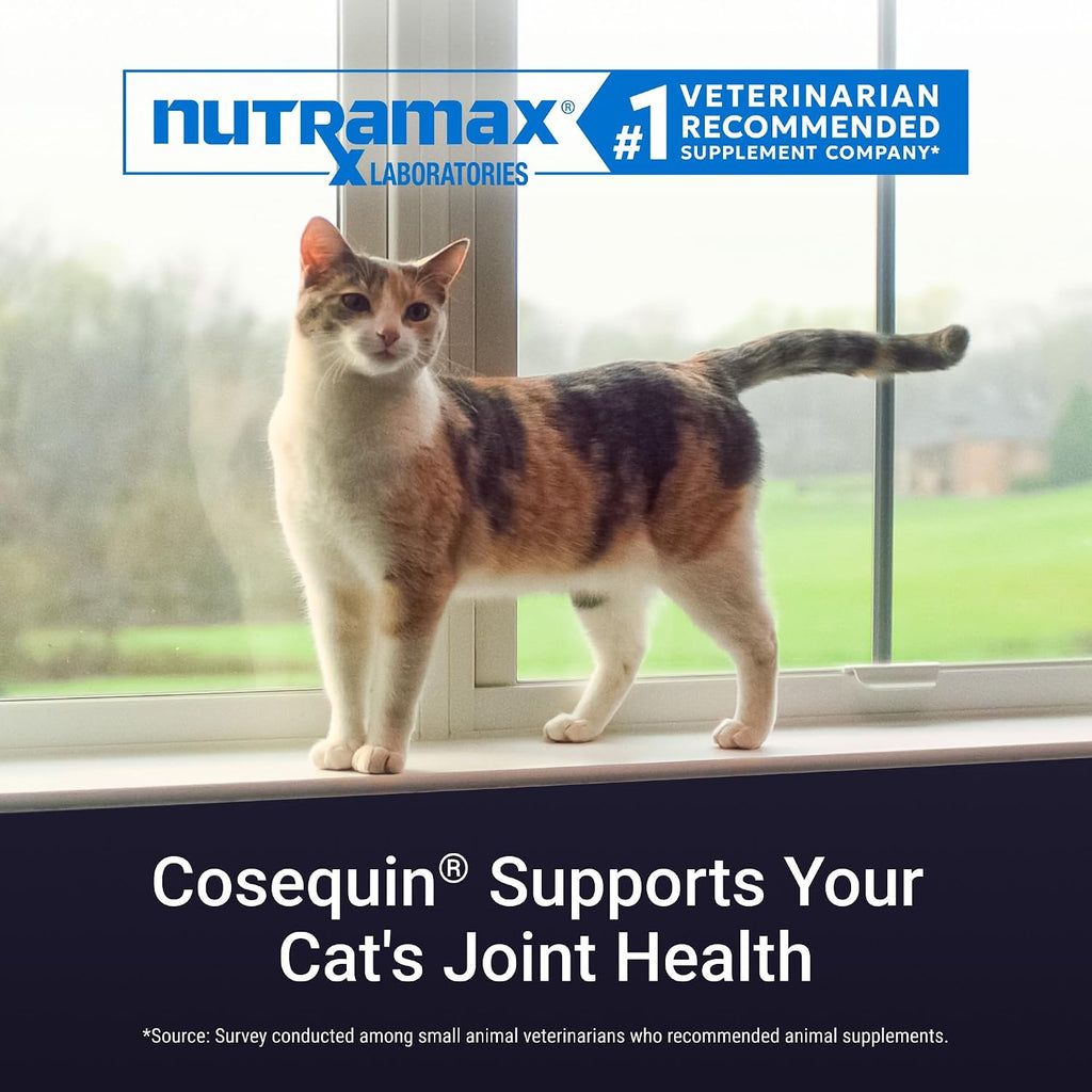 Nutramax Cosequin Joint Supplement for Cats, Easy Sprinkle Capsule, 80ct