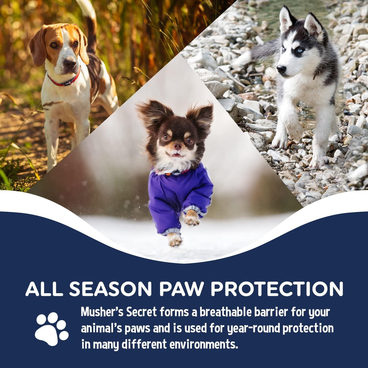 Musher's Secret All-Natural Dog Paw Balm, All-Season Paw Protector, 60g