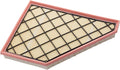 ACDelco GM Original Equipment A3212C (23321606) Air Filter