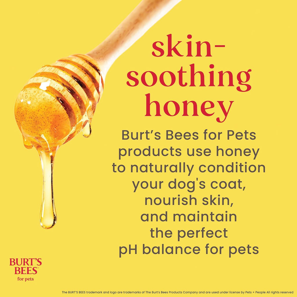 Burts Bees for Pets Hypoallergenic Cat Shampoo, Unscented, 10 Fl Oz