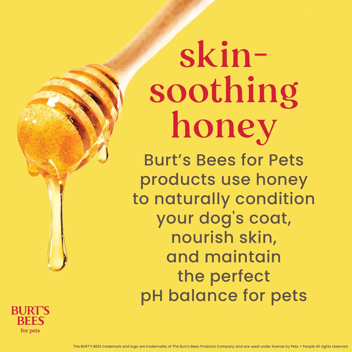 Burts Bees for Pets Hypoallergenic Cat Shampoo, Unscented, 10 Fl Oz