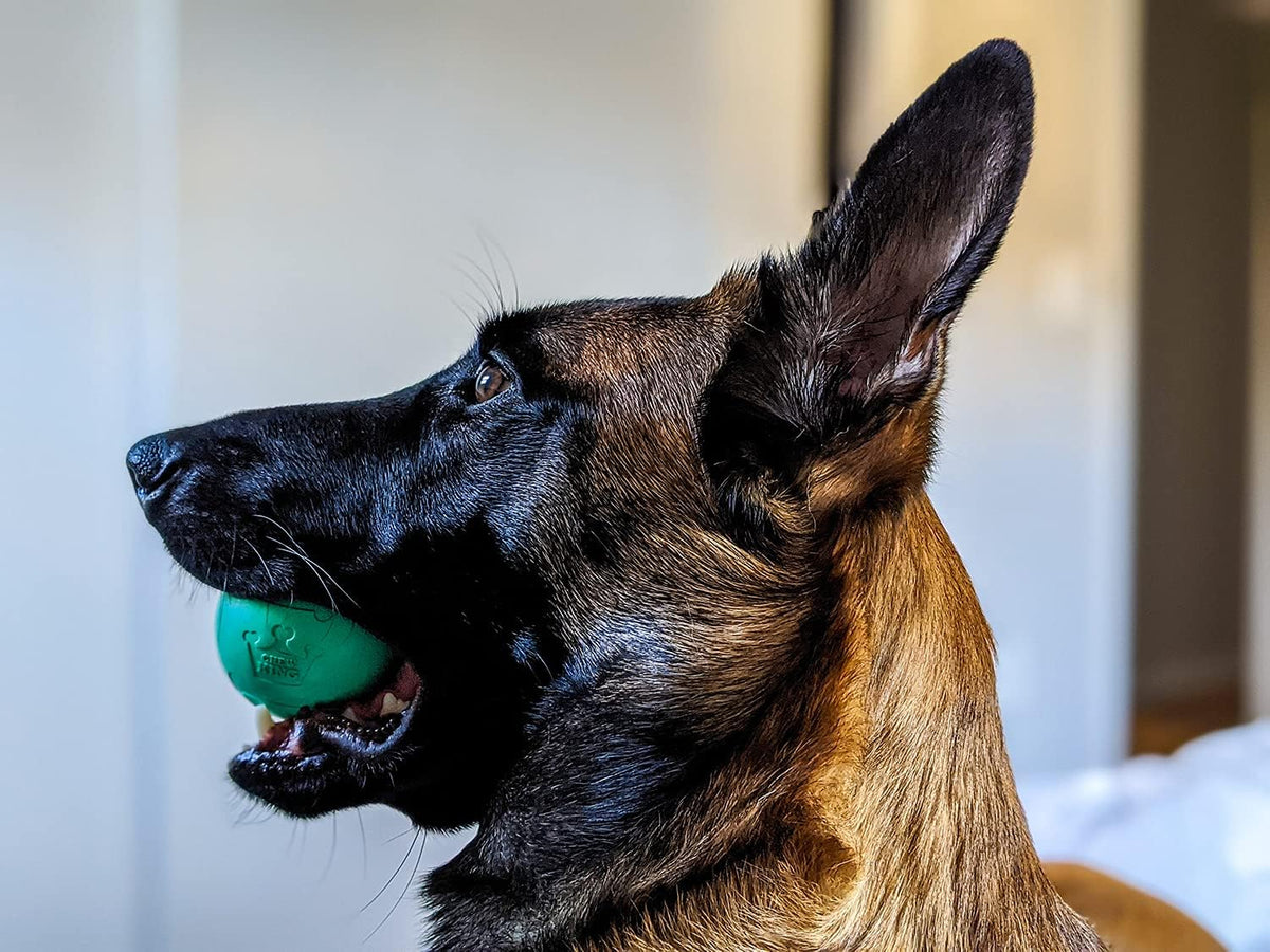 Chew King Fetch Balls Extremely Durable Natural Rubber Toy 2.5 inch, 8-pack (CM-0264-CS01)