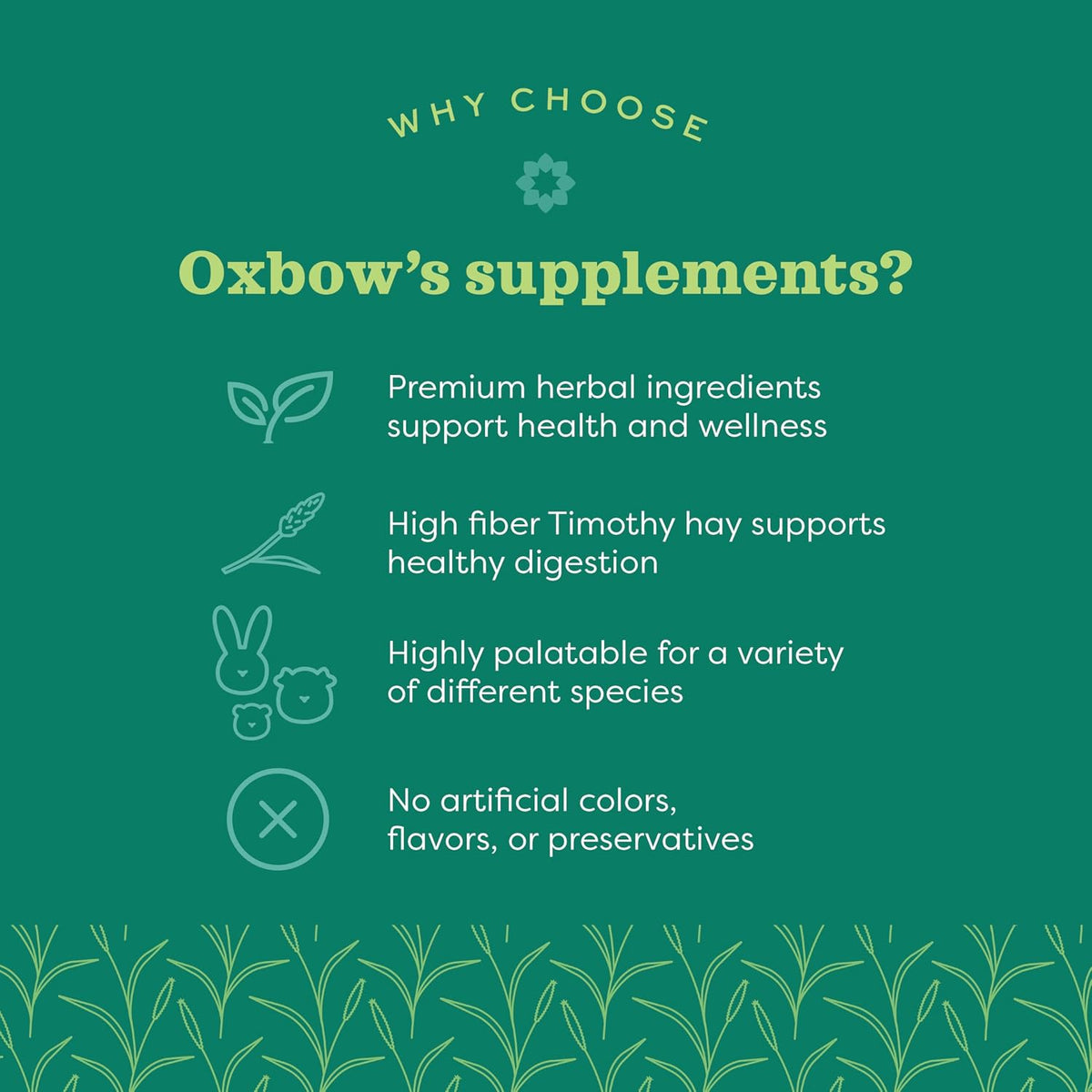 Oxbow Digestive Support Rabbit & Guinea Pig Supplement, Timothy Hay, 4.2 oz