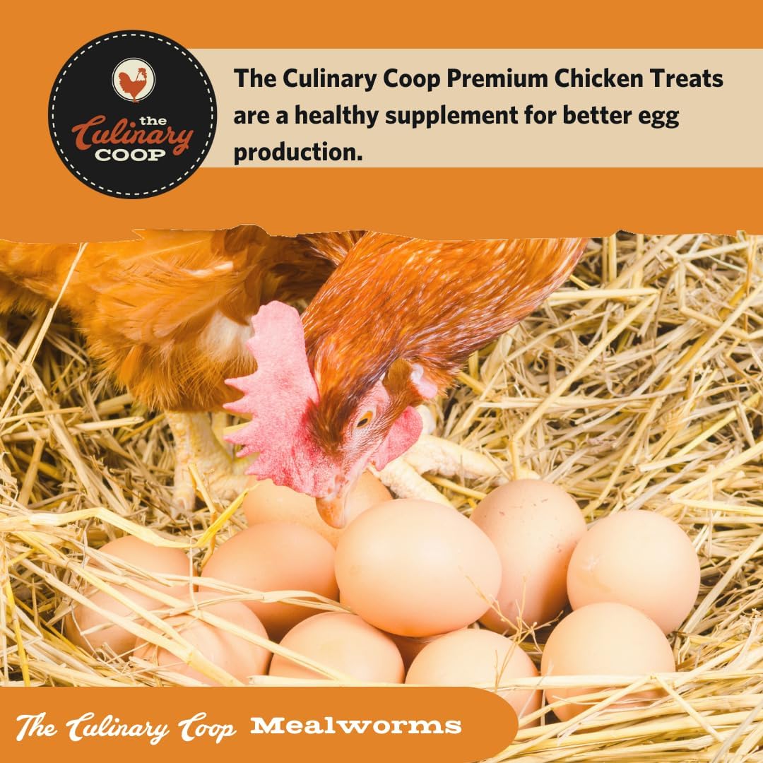 Fluker's Culinary Coop Premium Chicken Treats, Mealworms 3.5 oz, High Protein Worm, Nutritious Treat