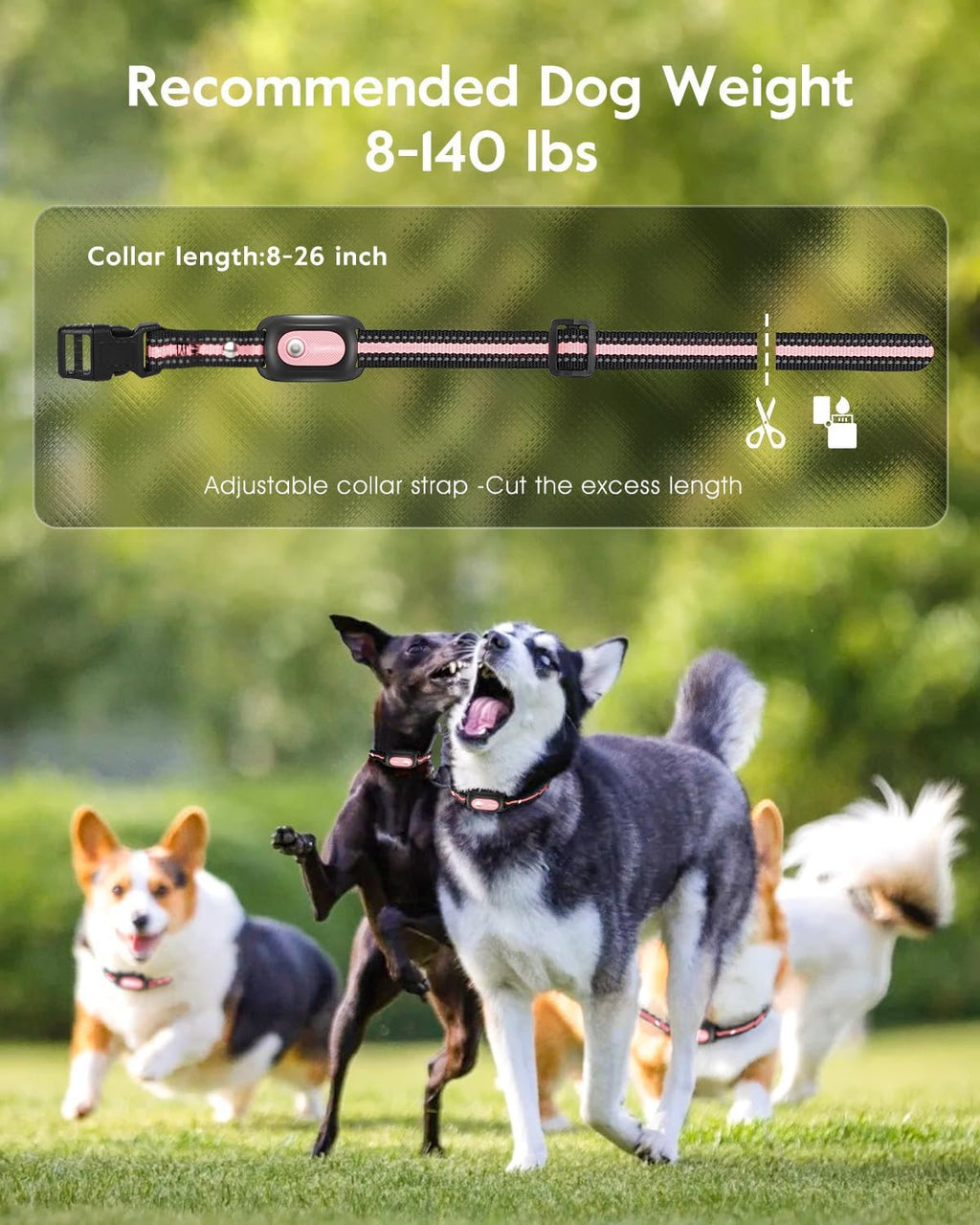 SLOPEHILL Dog Shock Collar,4200FT Dog Training Collar with Remote,Pink | IP68 Waterproof e Collar with Beep,Vibration,Safe Shock,Light,No Shock Mode,Shock Collar for Small Medium Large Dog 8-140lbs