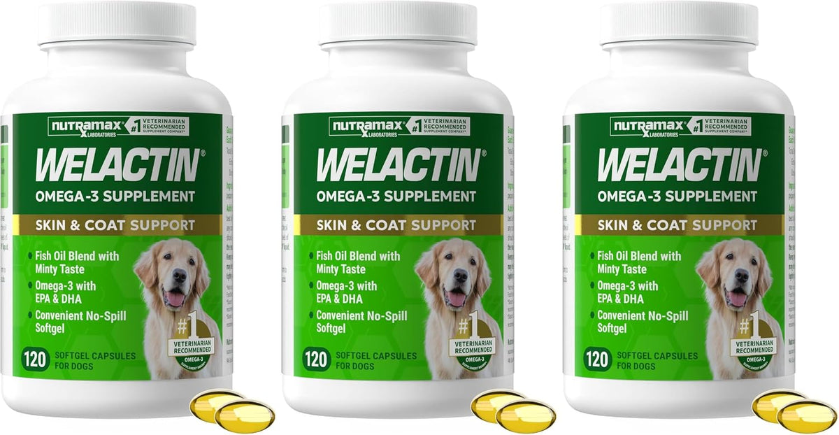 Nutramax Welactin Canine Softgels, Omega 3 Supplement for Dogs, Softgels, 120 Count (Pack of 3)
