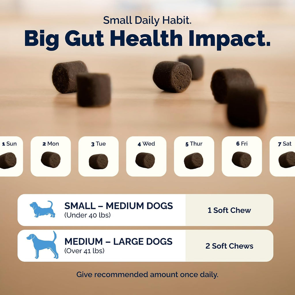 Vetnique Glandex Probiotics for Dogs 60ct Soft Chews, Prebiotics & Enzymes