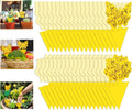 Yellow Sticky Fruit Fly Trap 54 Pack, Gnat Traps for Indoor House Plants