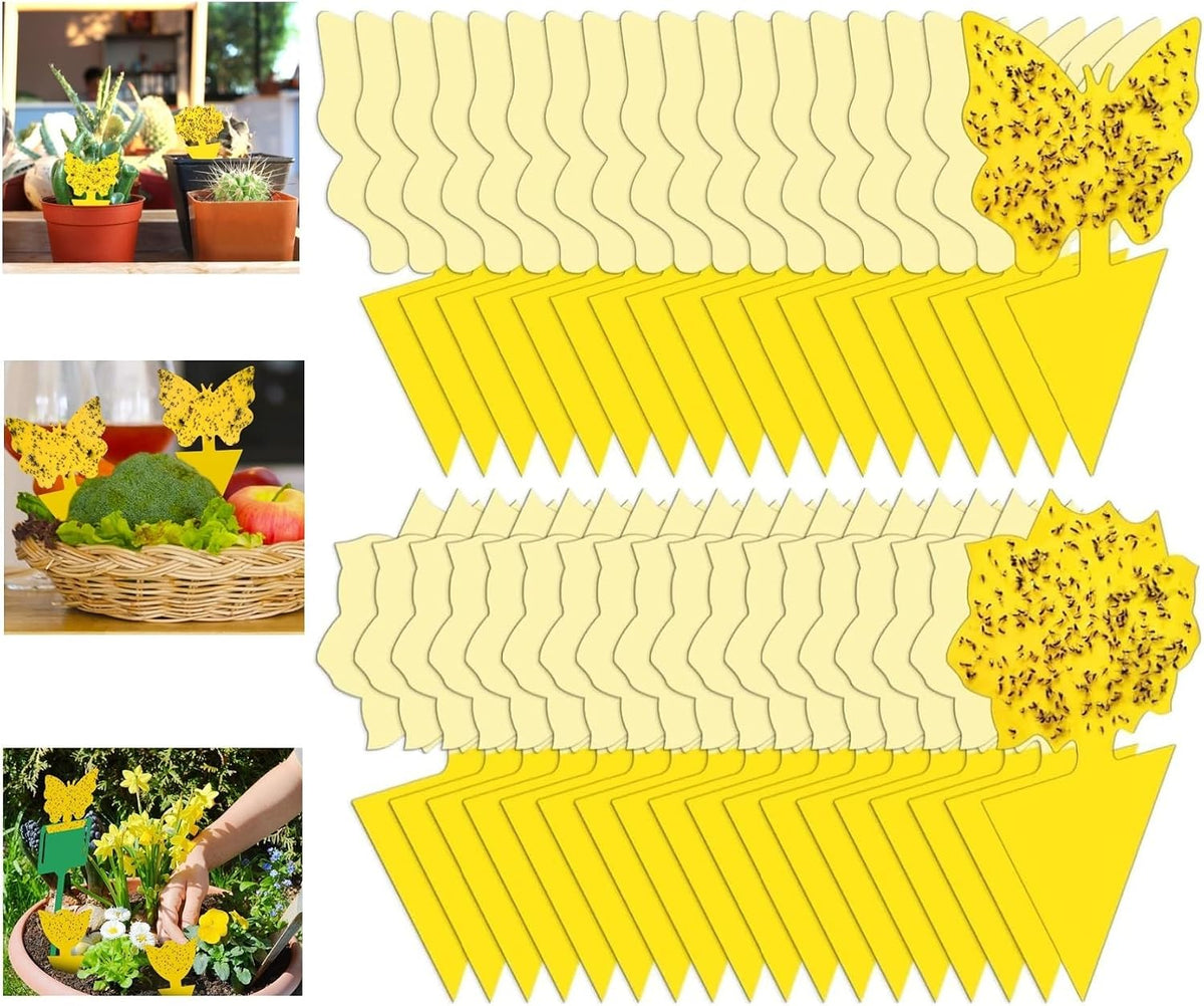 Yellow Sticky Fruit Fly Trap 54 Pack, Gnat Traps for Indoor House Plants