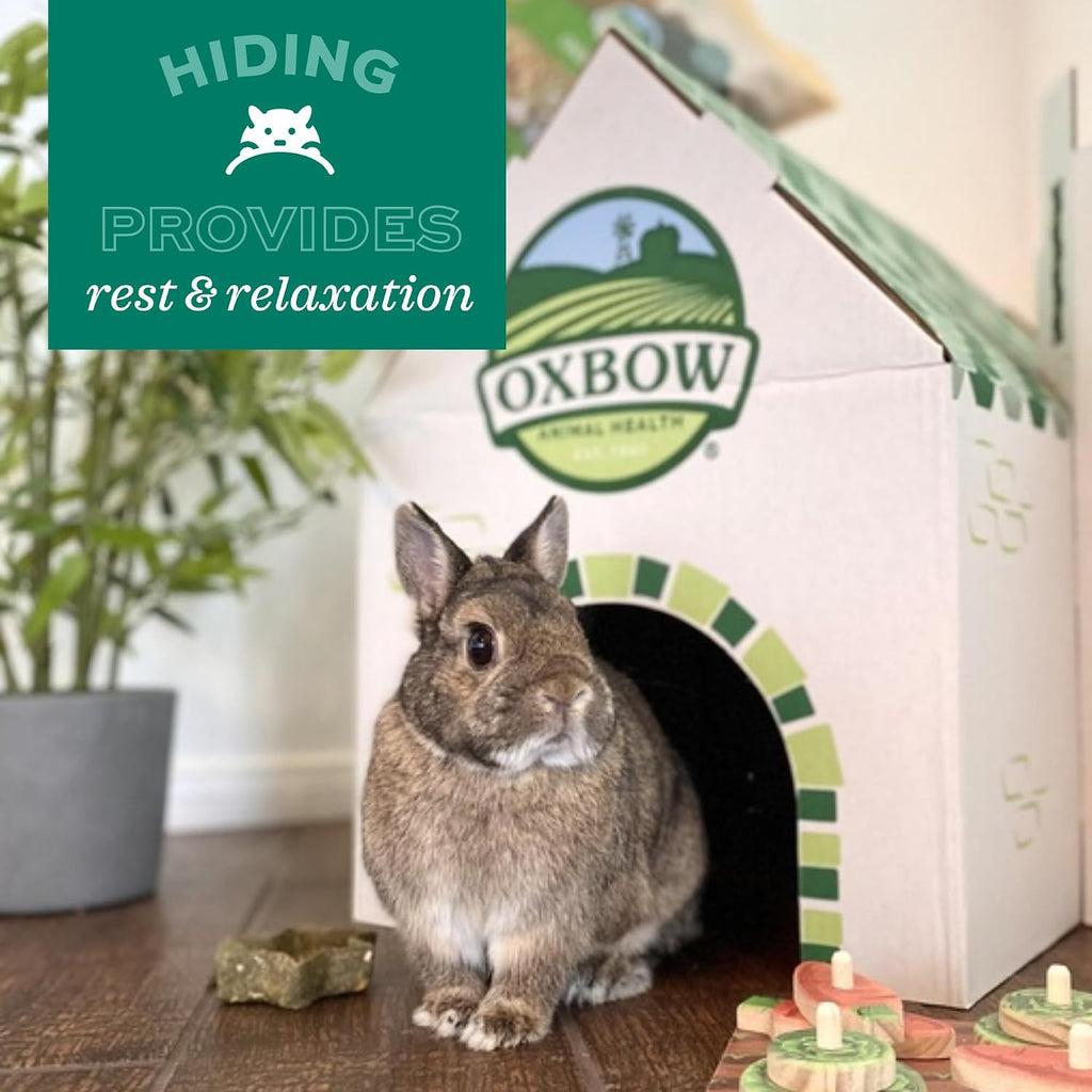 Oxbow Timothy Hay Tunnel, Guinea Pig Hideout, Rabbit & Bunny Tunnel, Edible