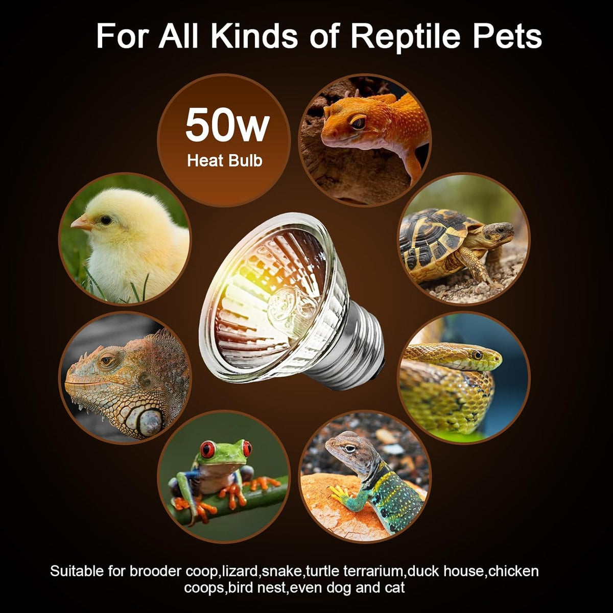 50W Uva Light Bulbs 4-Pack, Turtle Heat Lamp for Reptile