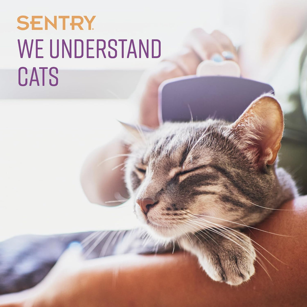 Sentry Calming Chews for Cats, Pheromone Stress Aid, 4oz