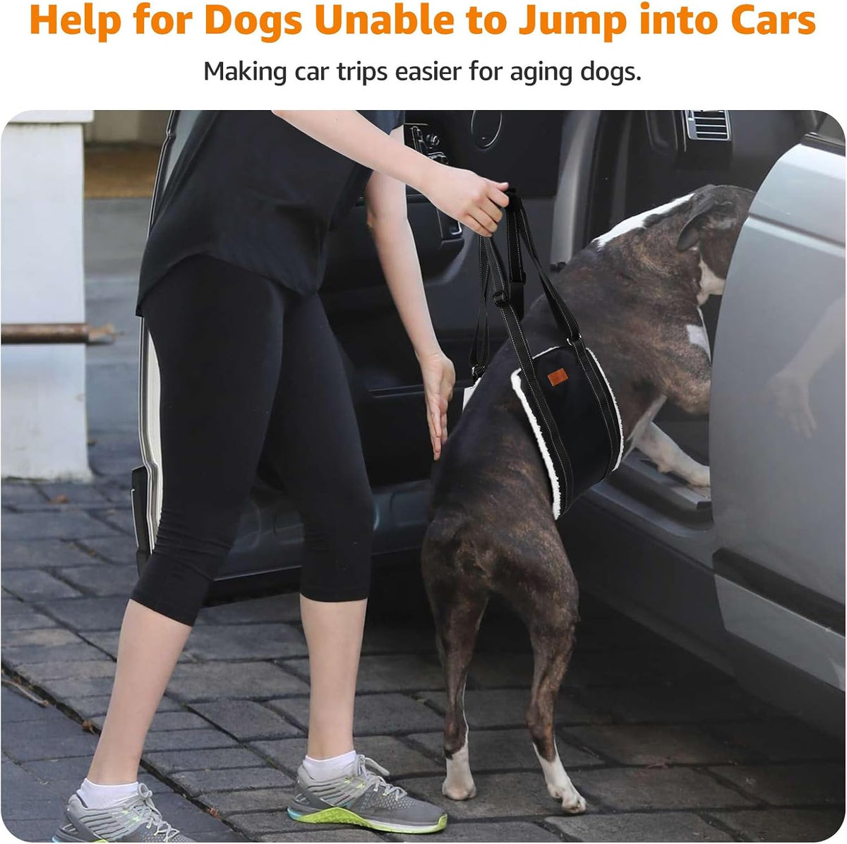 LOOBANI Adjustable Dog Sling for Large Dogs Hind Leg Support ACL Recovery