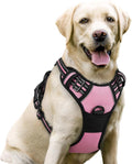rabbitgoo Dog Harness, No Pull for Large Dogs with 2 Leash Clips, Pet Vest