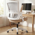 NEO CHAIR Office Desk Chair High Back Mesh Chair Adjustable Lumbar, Black