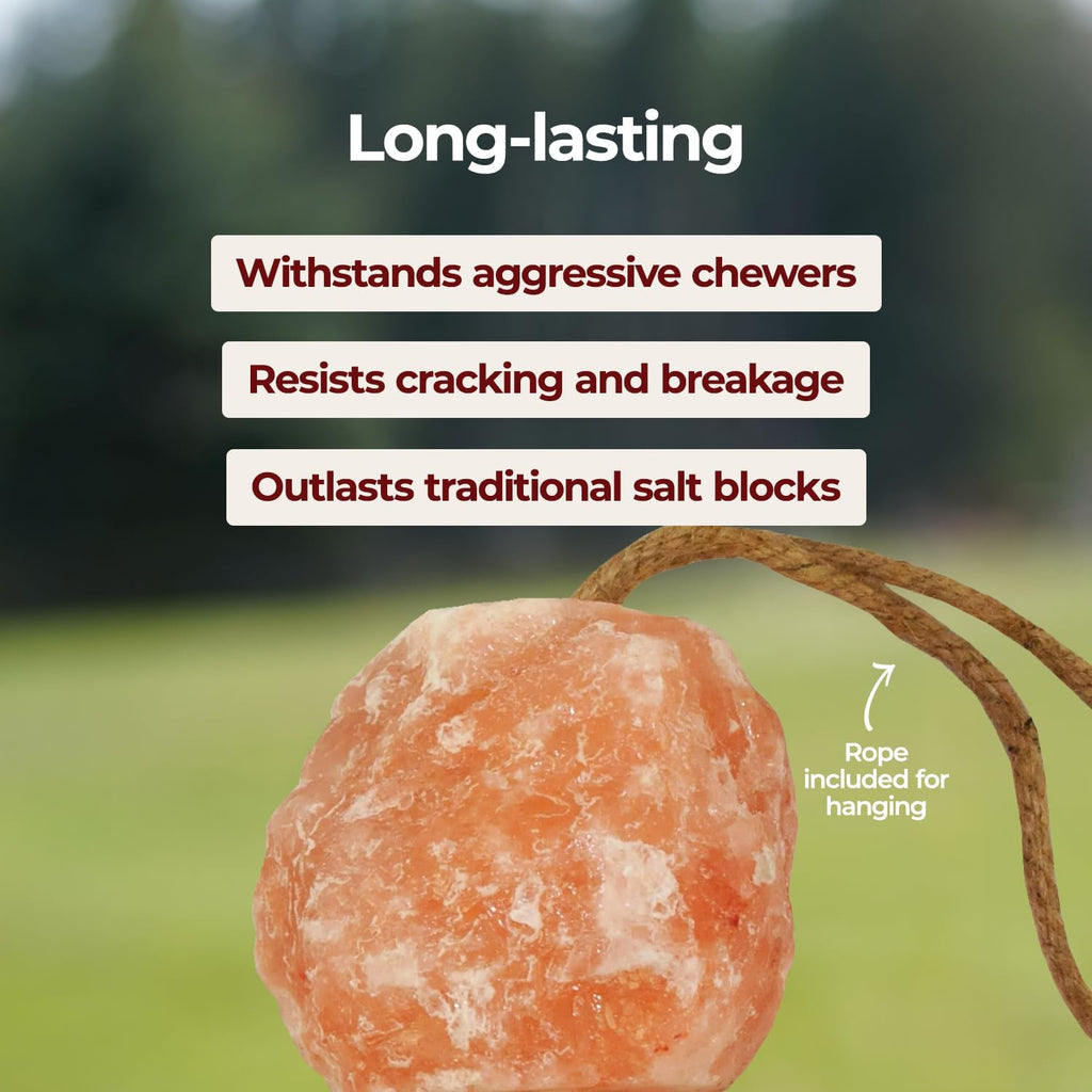 Horsemen's Pride Himalayan Salt Block on Rope for Horses, 2.2 Pounds, SS22