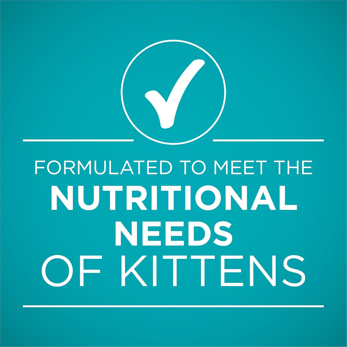 Purina ONE Wet Kitten Food, Healthy Kitten, 24 Pack 3 oz Cans