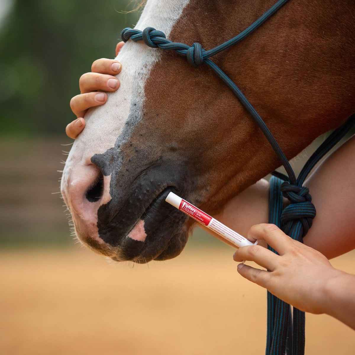 Jeffers 1.87% Ivermectin Gel Dewormer for Horses | Apple Flavored | 1 Pack