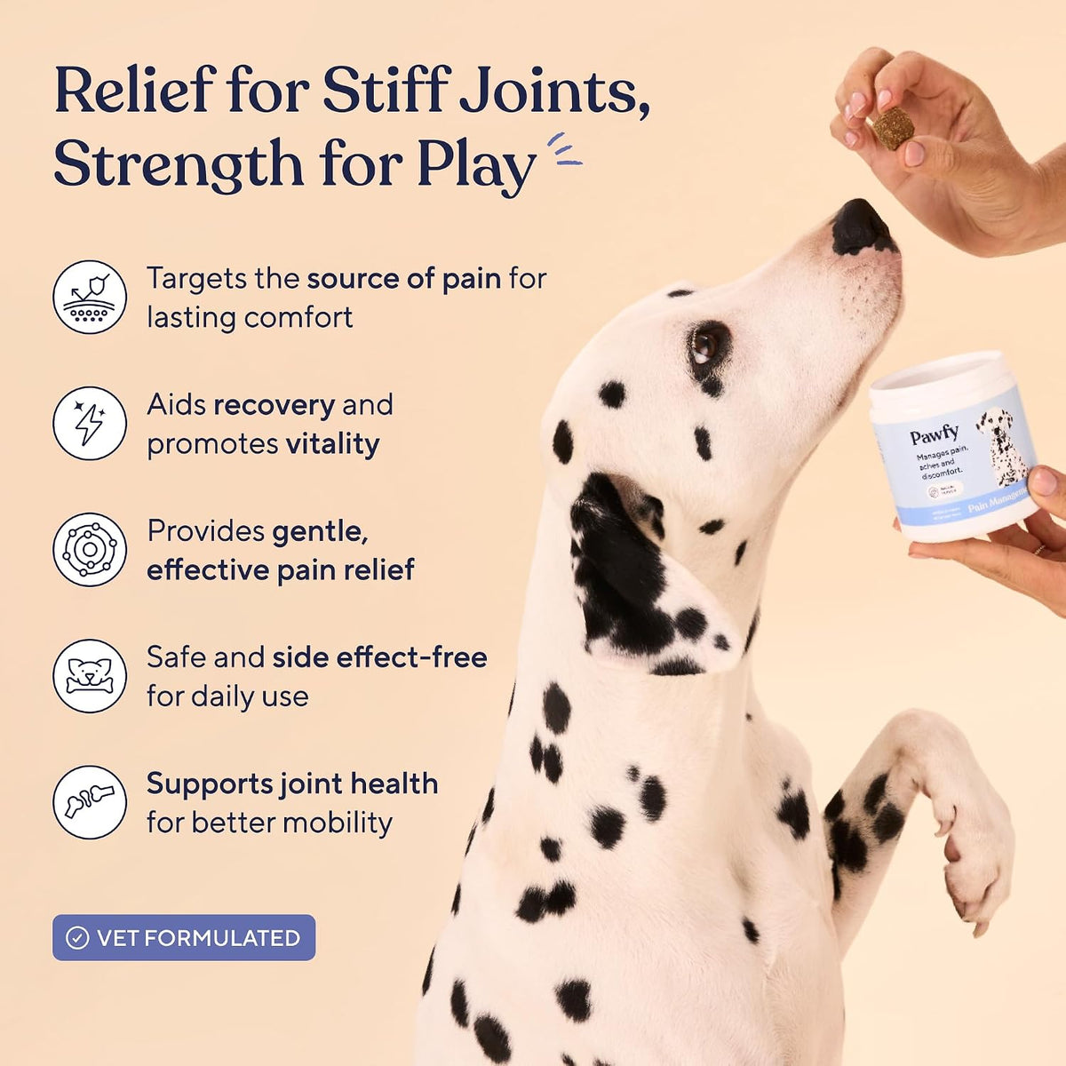 Pawfy Hip & Joint Supplement for Dogs - Omega 3 for All Breeds & Sizes