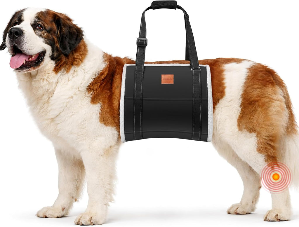 LOOBANI Adjustable Dog Sling for Large Dogs Hind Leg Support ACL Recovery
