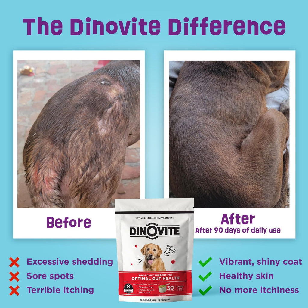 Dinovite Probiotics for Large Dogs, Probiotic Food Topper, 30 Servings