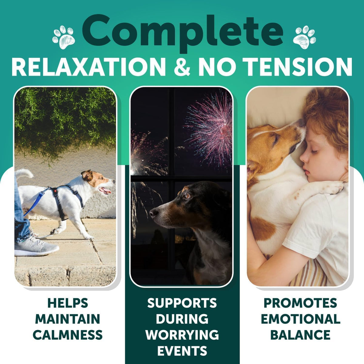 Dog Calming Chews - 120 Treats - Hemp Calming Chews for Dogs for Anxiety