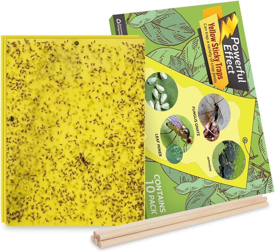 Kensizer 20-Pack Fruit Fly Trap, Yellow Sticky Gnat Traps, 6x8 in