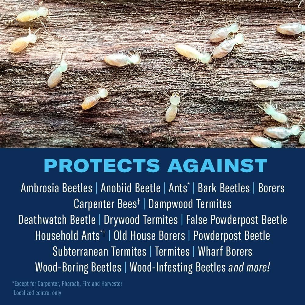 BioAdvanced Termite & Carpenter Bee Killer Plus Foam - 18 oz Can