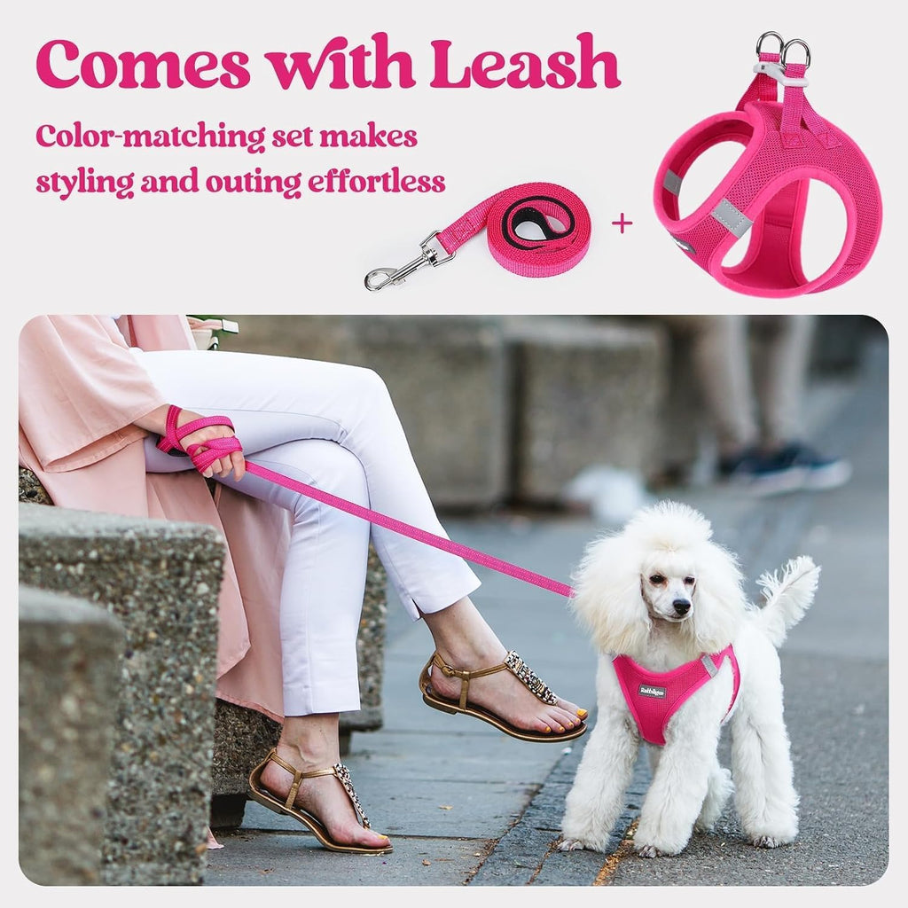 rabbitgoo Dog Harness Small Sized and Leash Set, Step-in Puppy Pet Vest