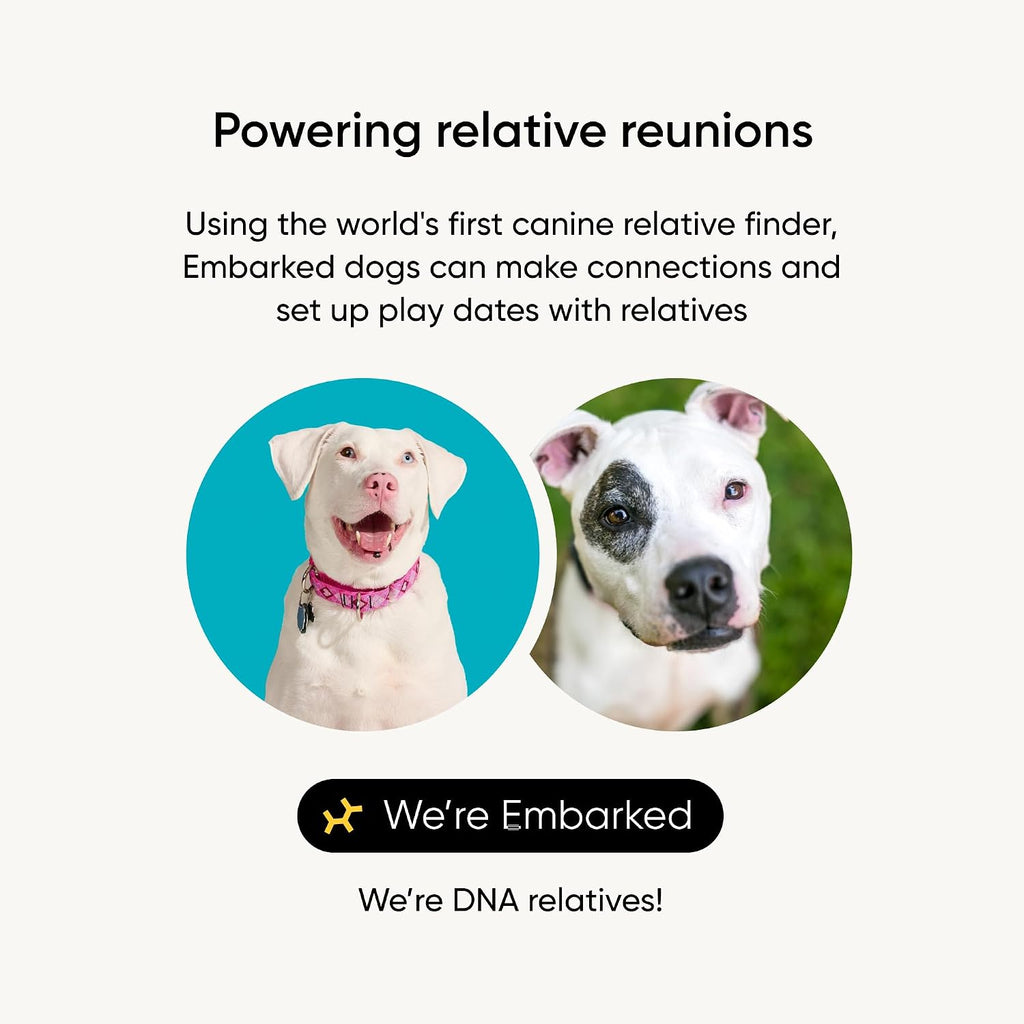 Embark Breed ID Dog DNA Test Kit – 400+ Breeds, 99% Breed Accuracy | Dog DNA testing kit for mixed breeds. Ancestry to great-grandparents, relative finder & family tree. Largest dog database.