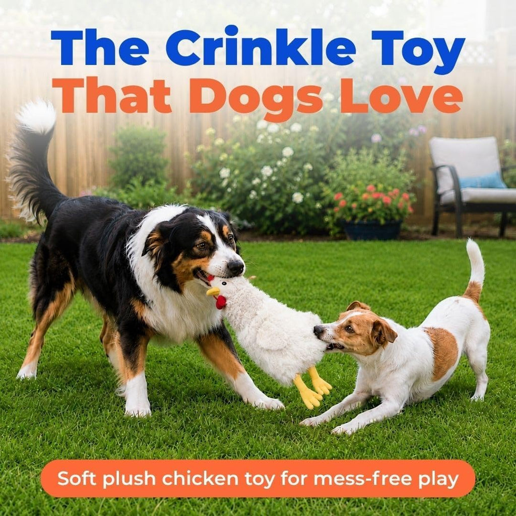 Best Pet Supplies Interactive Squeaky Dog Toy - Crinkle Chicken, Beige | Stuffing Free Body, Soft, Squeaks & Crinkles, No Mess, Perfect for Moderate Chewers, Toss and Fetch Play