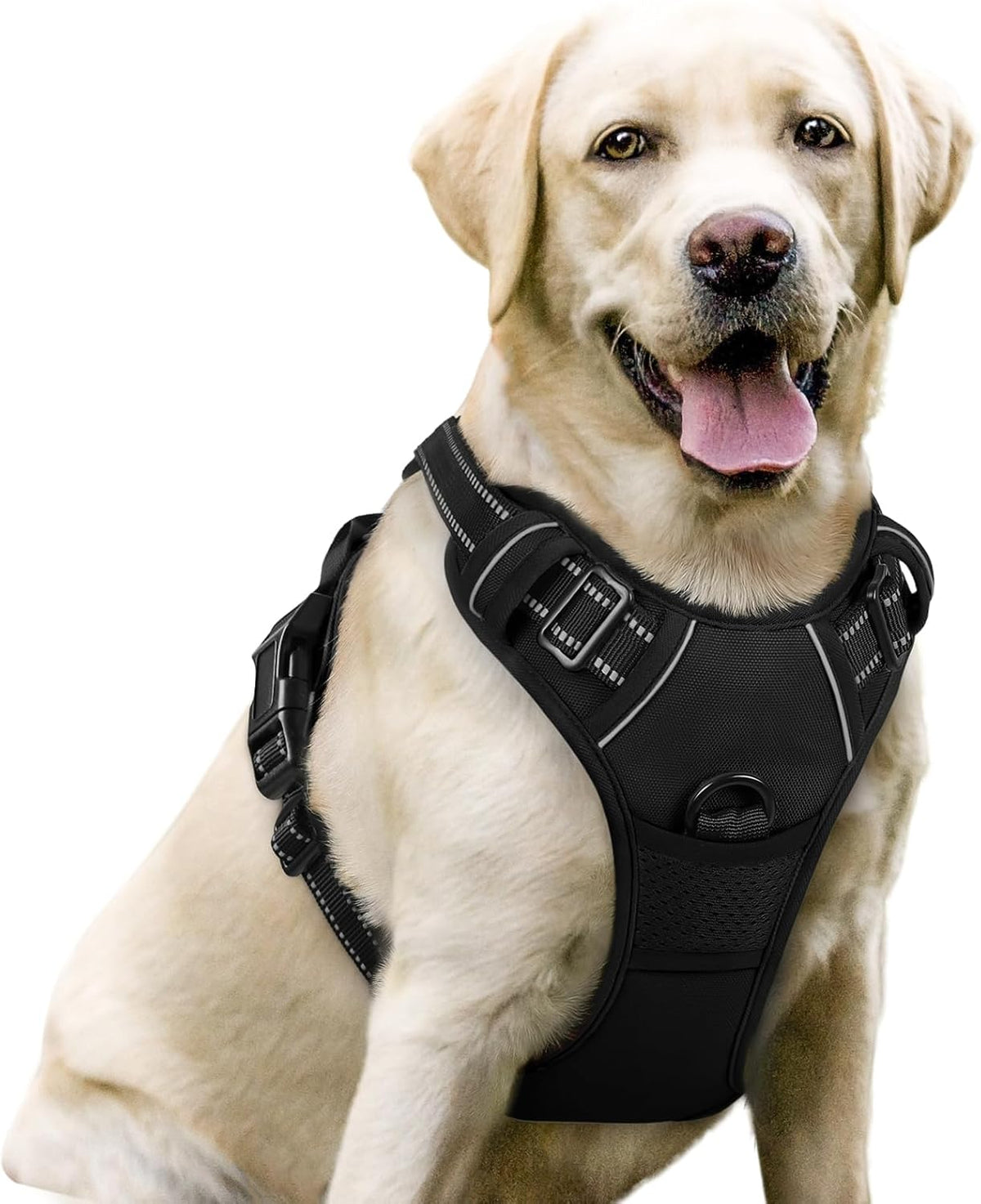 rabbitgoo Dog Harness, No Pull for Large Dogs with 2 Leash Clips, Pet Vest
