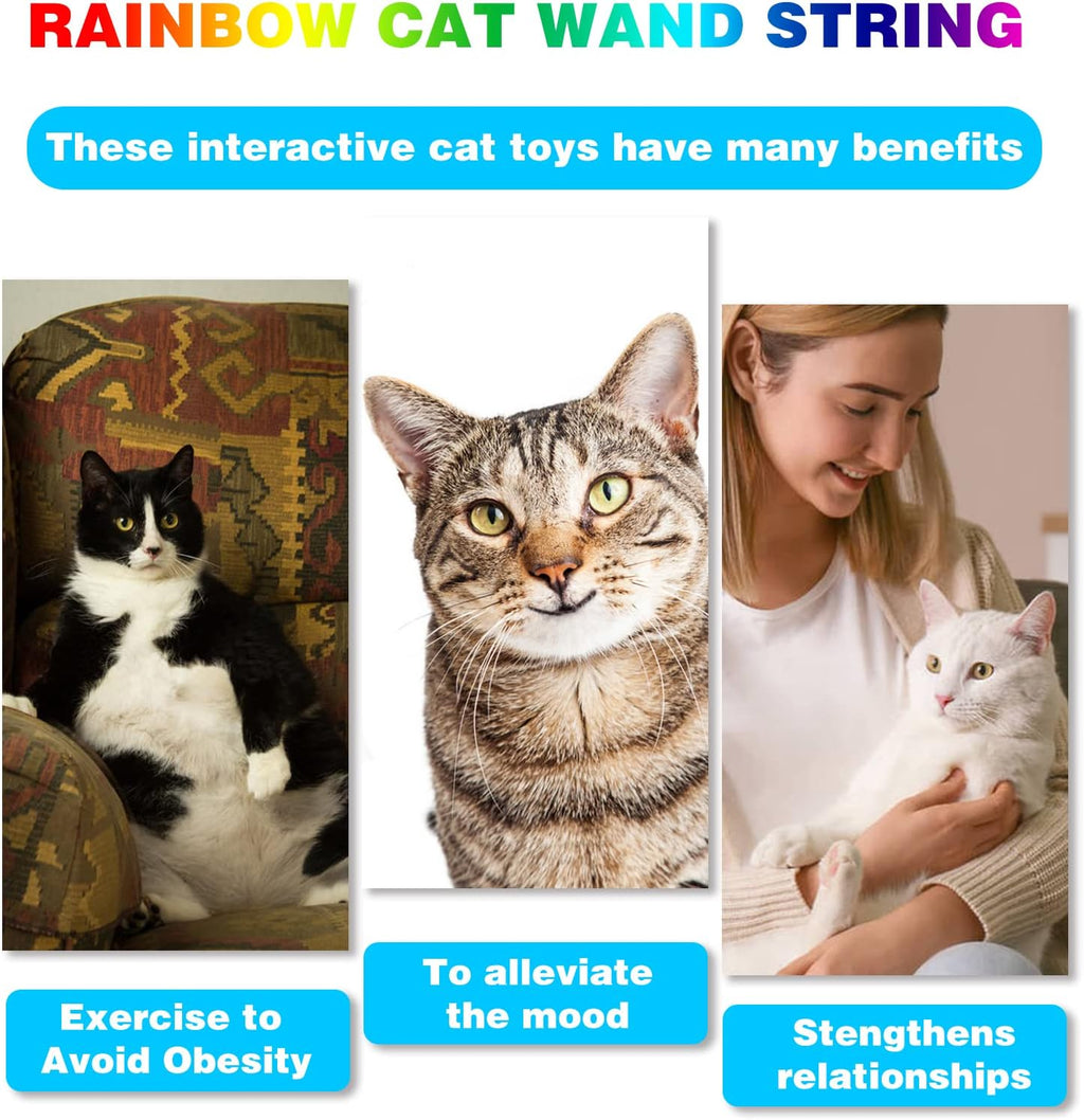 Cat Wand Toys Interactive Kitten Toys for Indoor Cats-2Pcs
