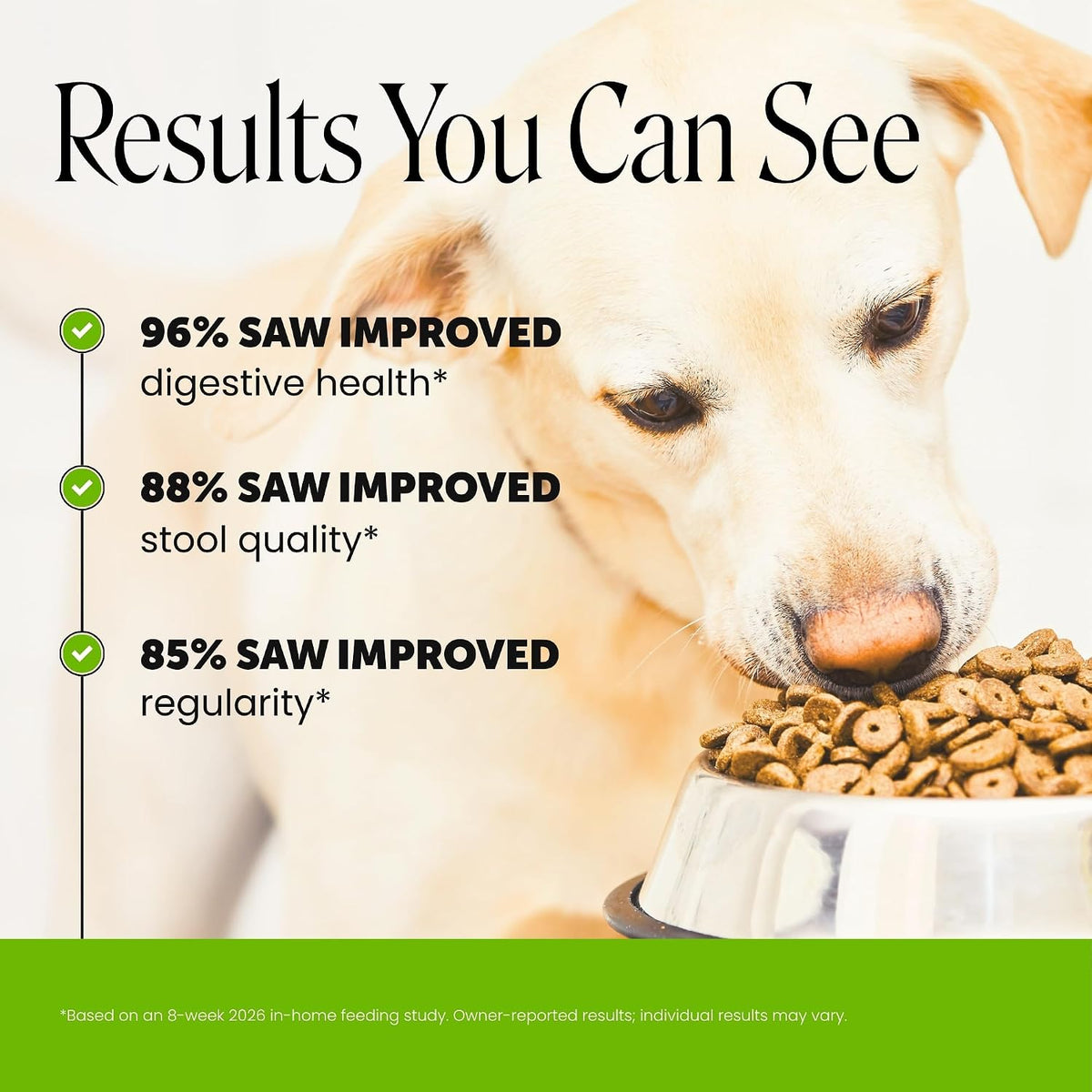 Pet Honesty Dog Probiotics Chews for Gut & Digestive Health, 90ct, Pumpkin | Vet recommended probiotics for dogs with digestive enzymes, prebiotics and fiber for regularity, gentle on sensitive stomachs
