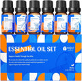 HIQILI Top 16 Essential Oils Set for Skin, Aromatherapy & Home Use