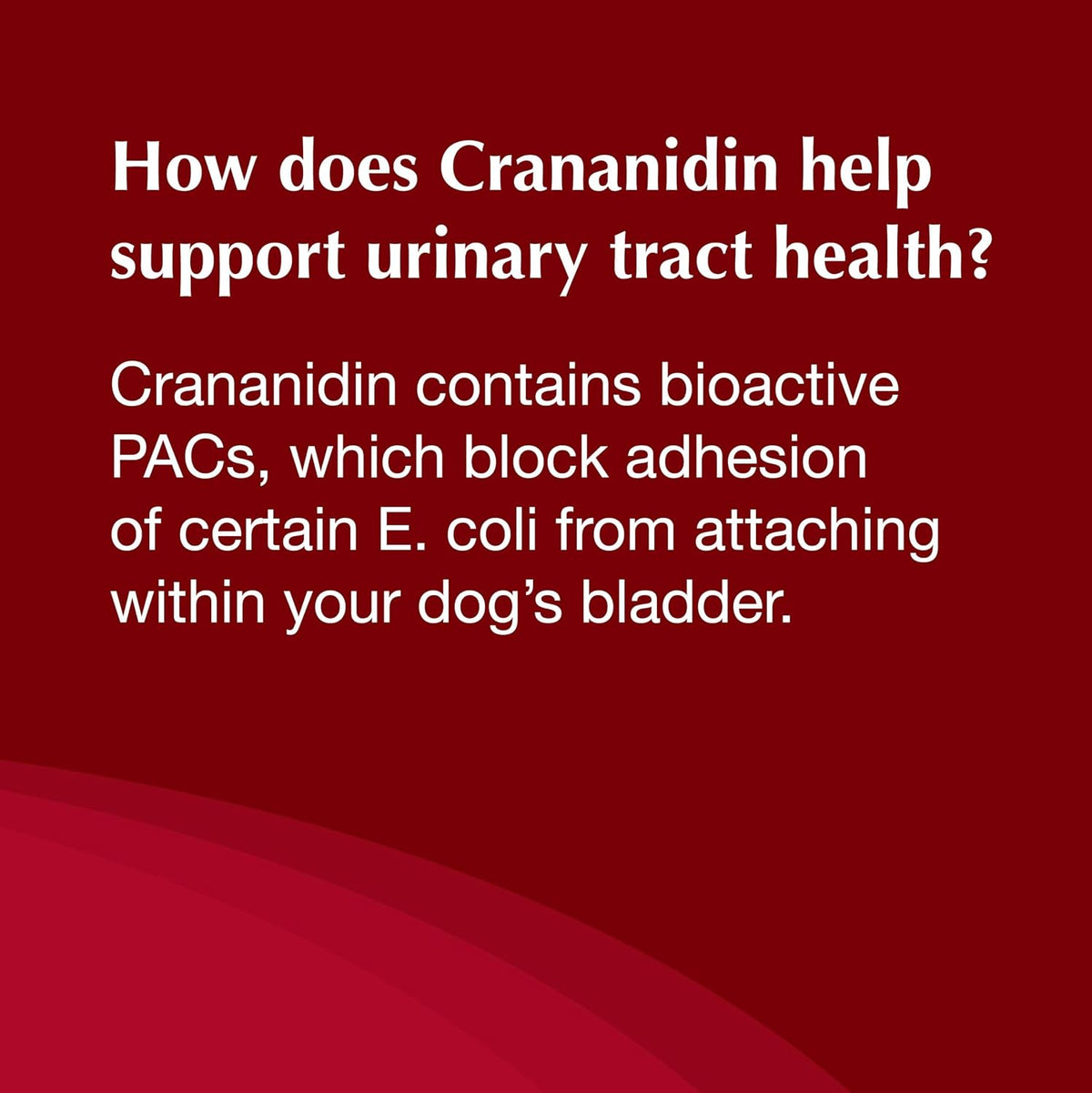 Nutramax Crananidin Urinary & Bladder Dog Supplement, Chewable Tablet, 75ct