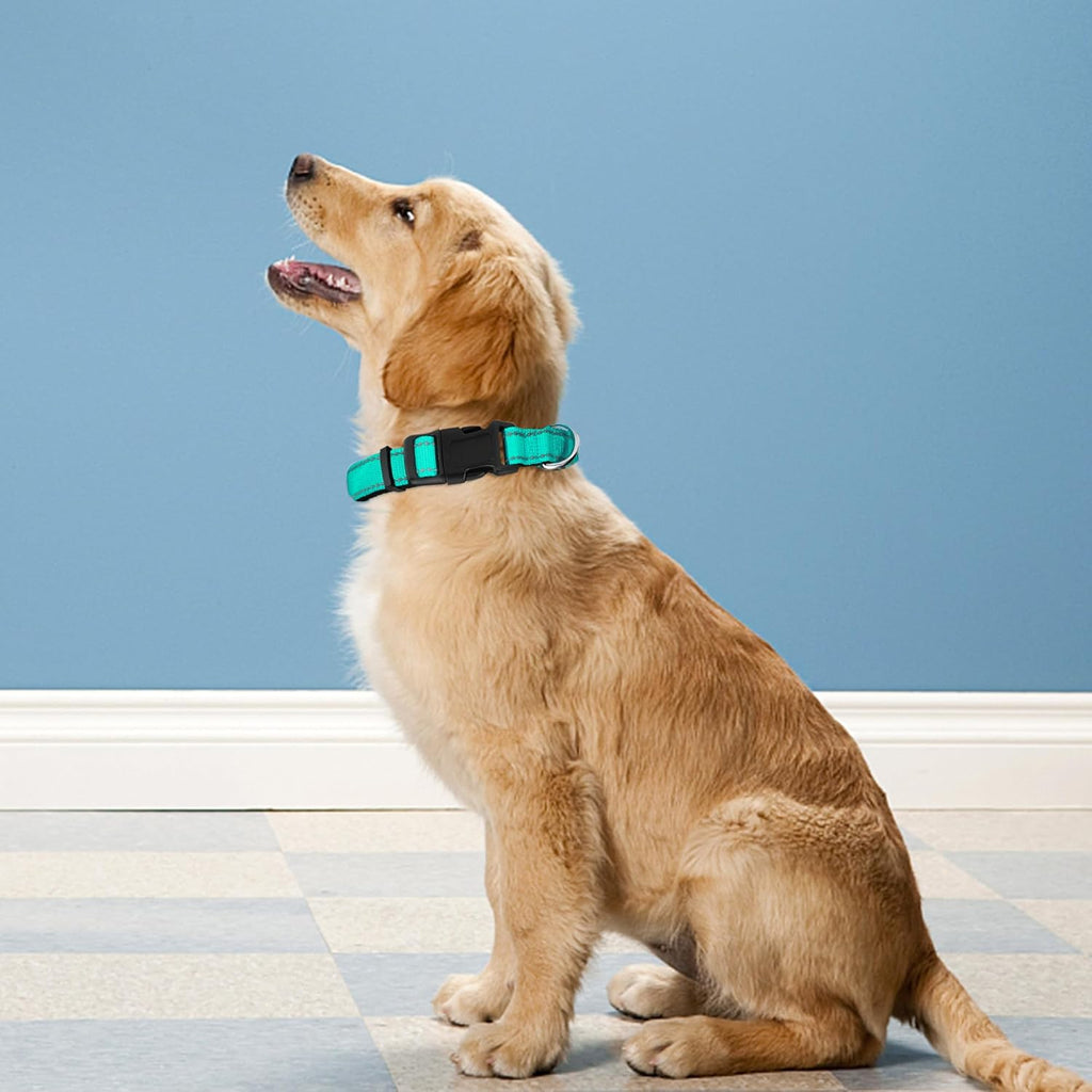 Reflective Dog Collar, Adjustable Soft Neoprene Padded,Teal,M