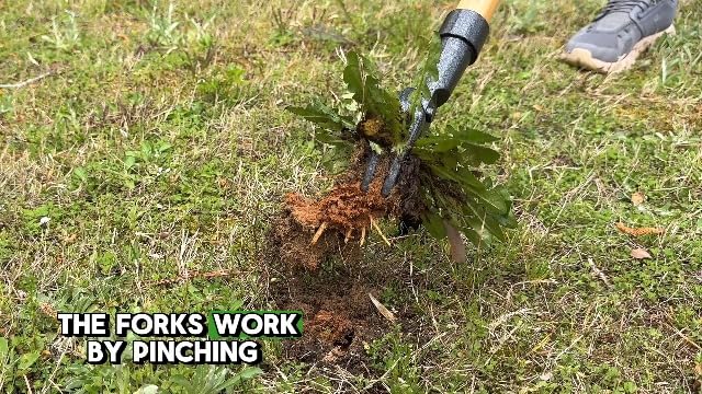 Grampa's Weeder Original Stand Up Weed Puller Tool with Bamboo Long Handle