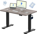 FLEXISPOT EN1 One-Piece Standing Desk, Electric Adjustable with 4 Memory Presets, 176 LBS Capacity, Stable & Quiet, Seamless Desktop for Home Office & Dual Monitors, 48"x24" Maple(White Frame)