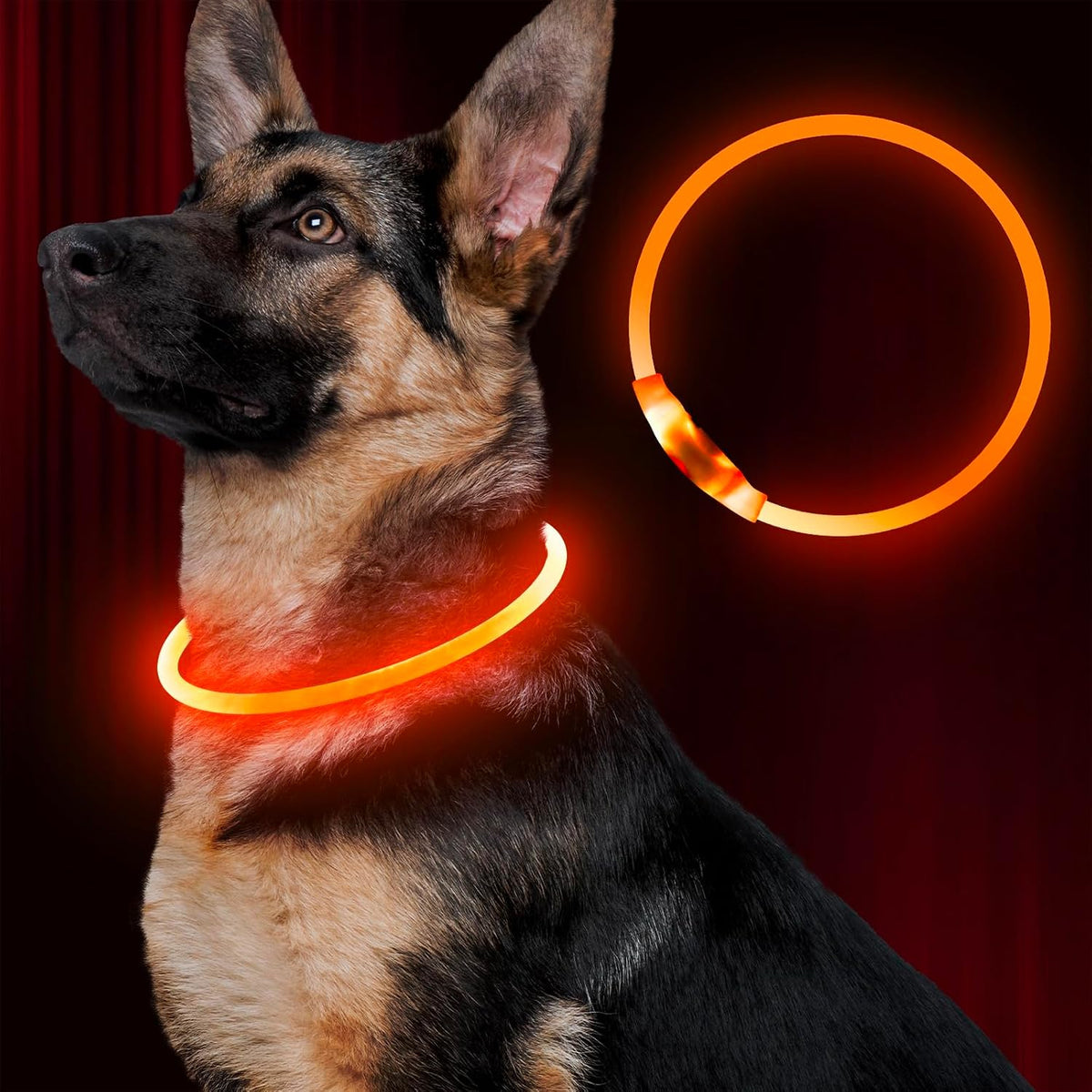 Led Dog Collar, BSEEN USB Rechargeable Flash Light up Dog Collar