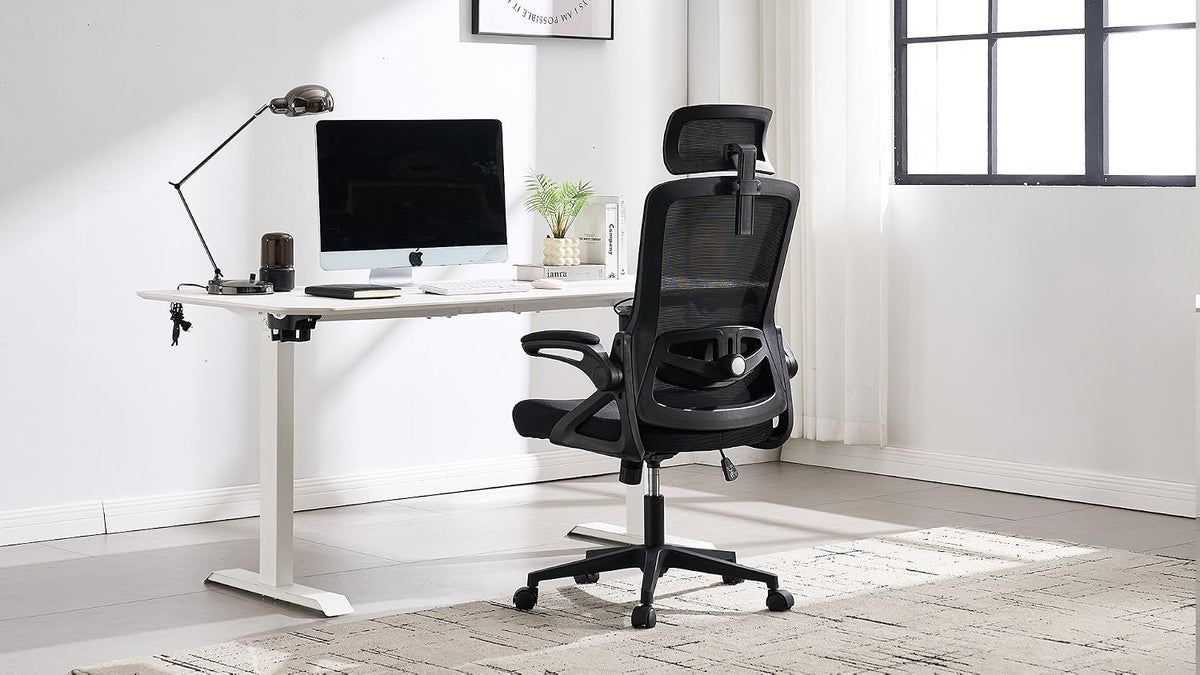 Fizzin Office Chair Mesh Computer Chairs with Adjustable Lumbar Support