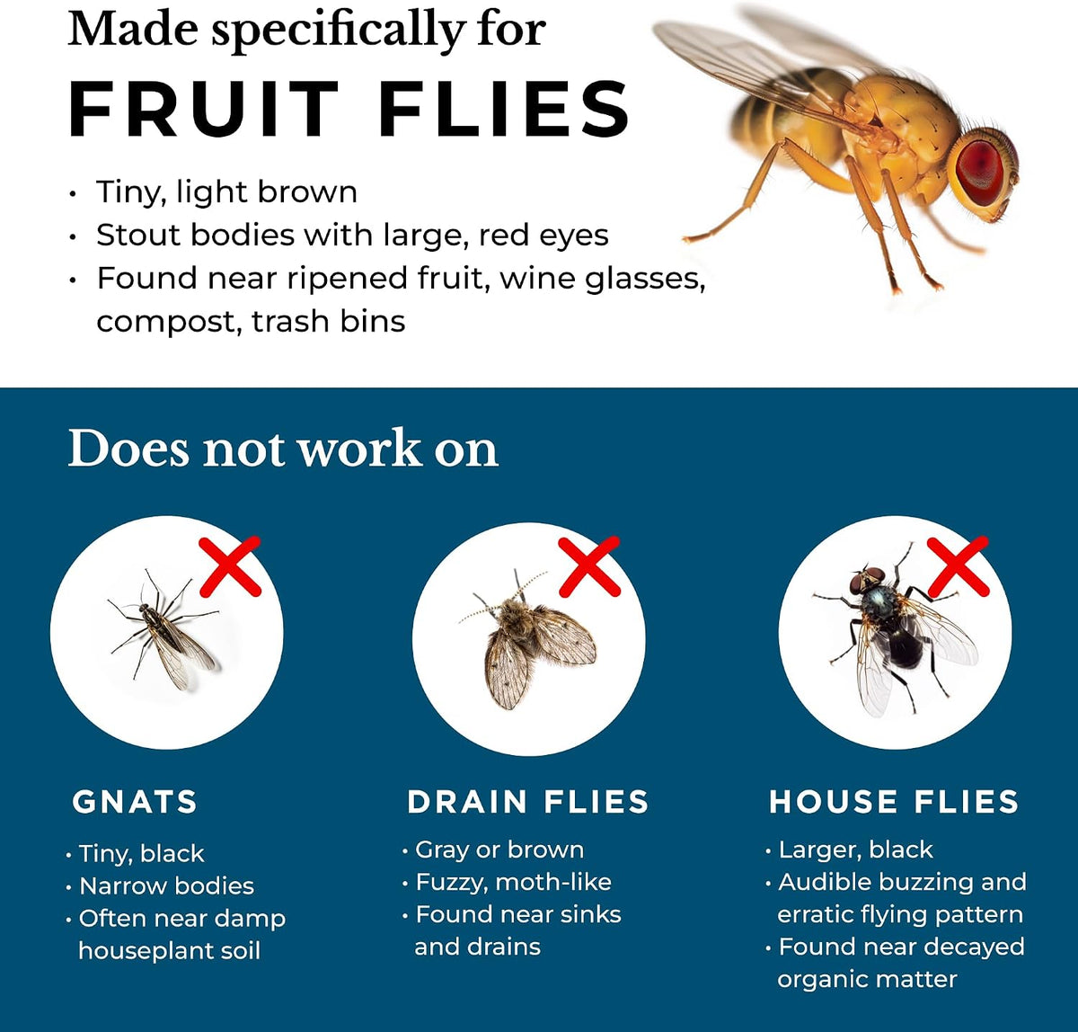 Wondercide - Fruit Fly Traps for Indoors - 5.4 oz, 2 Pack