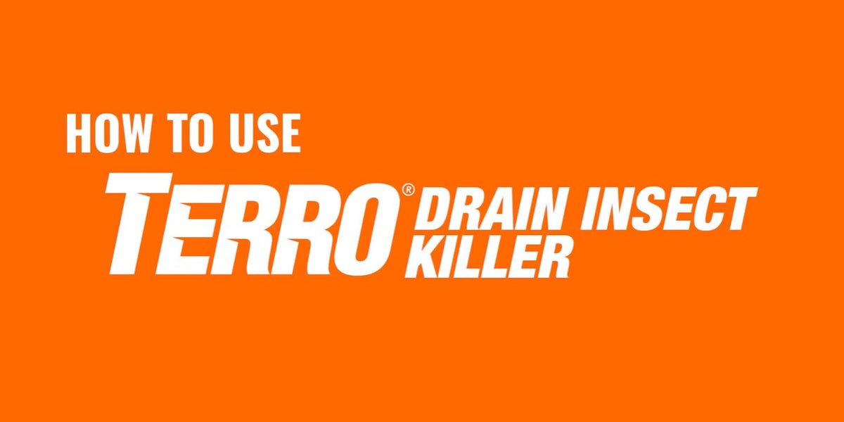 TERRO Drain Insect Killer, 1-Pack, Foam Treatment for Indoor Infestations