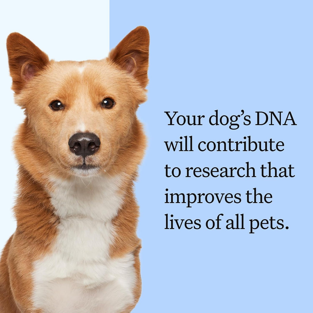 Wisdom Panel Breed Discovery Dog DNA Testing Kit - Most Accurate Dog Breed Identification - Test for 430+ Breeds, MDR1 Health Test, Ancestry, Relatives