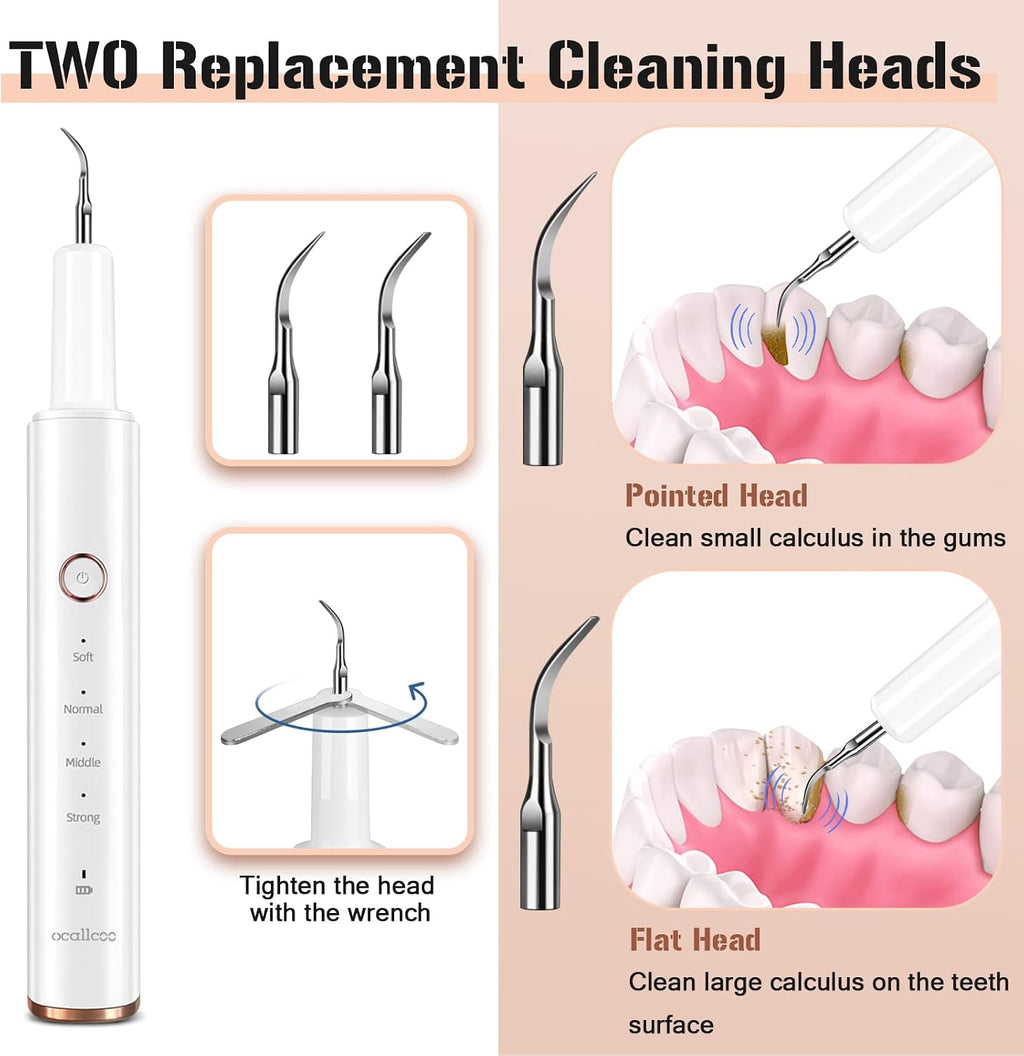 Plaque Remover for Teeth, Electric Tartar Remover for Teeth with LED Light,4 Modes Rechargeable