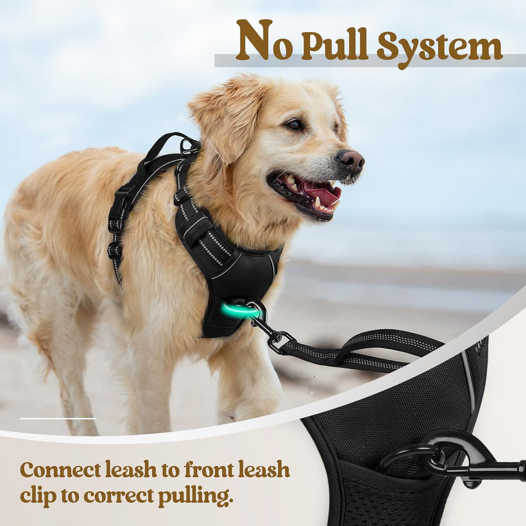 rabbitgoo Dog Harness, No Pull for Large Dogs with 2 Leash Clips, Pet Vest
