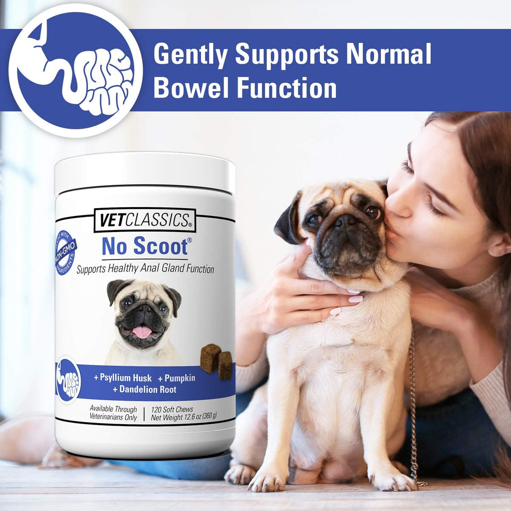 Vet Classics No Scoot for Dogs, Healthy Anal Support - 120 Soft Chews