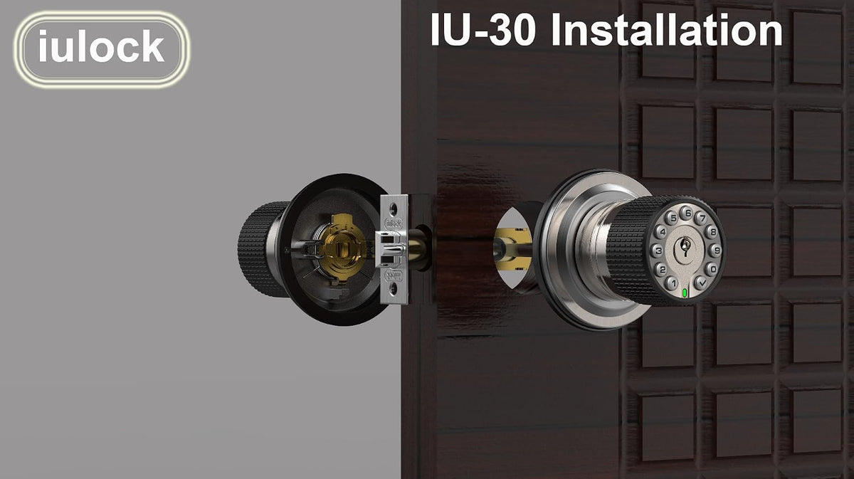 iulock Keypad & Key Smart Door Lock, 50 User Codes, Waterproof, Auto Lock - Matte Black